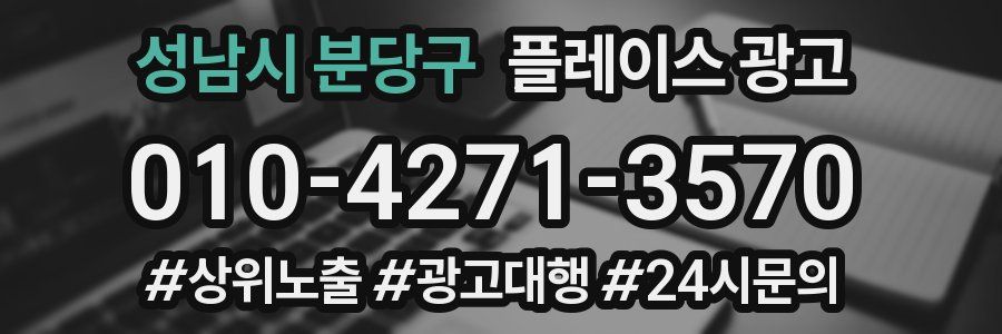 성남시 분당구 플레이스 광고