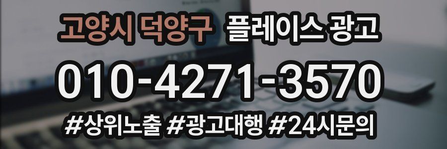고양시 덕양구 플레이스 광고
