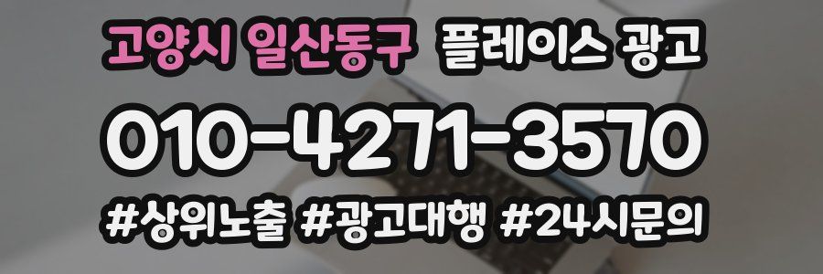 고양시 일산동구 플레이스 광고