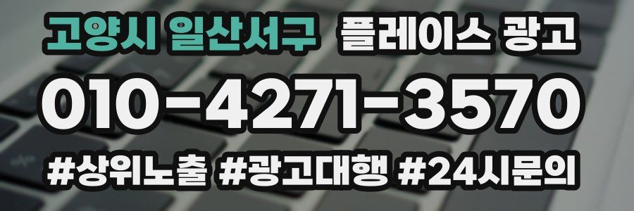 고양시 일산서구 플레이스 광고