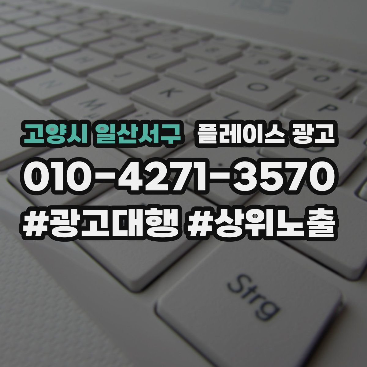 고양시 일산서구 플레이스 광고