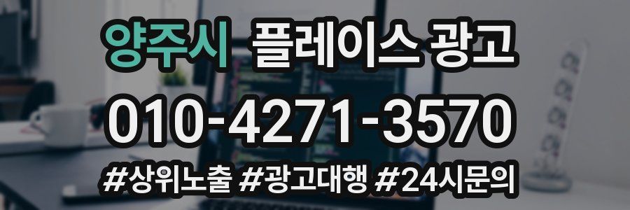 양주시 플레이스 광고