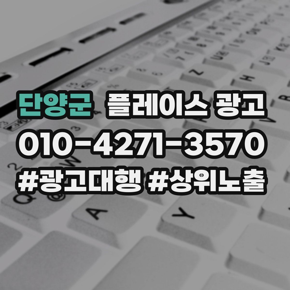 단양군 플레이스 광고 서비스 범위가 명확해야 문의가 좋아지는 이유