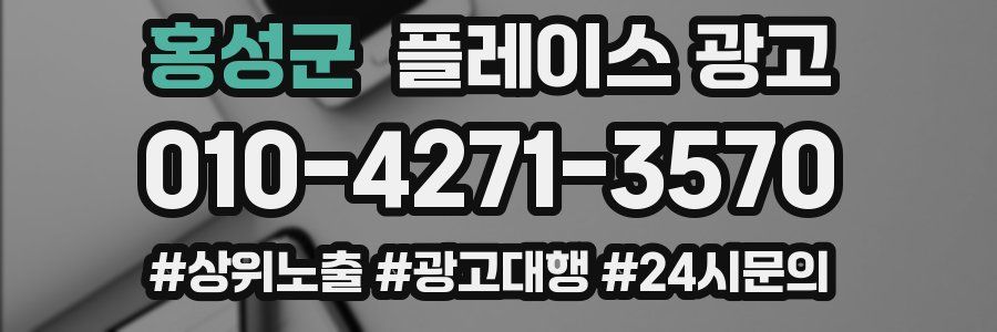 홍성군 플레이스 광고