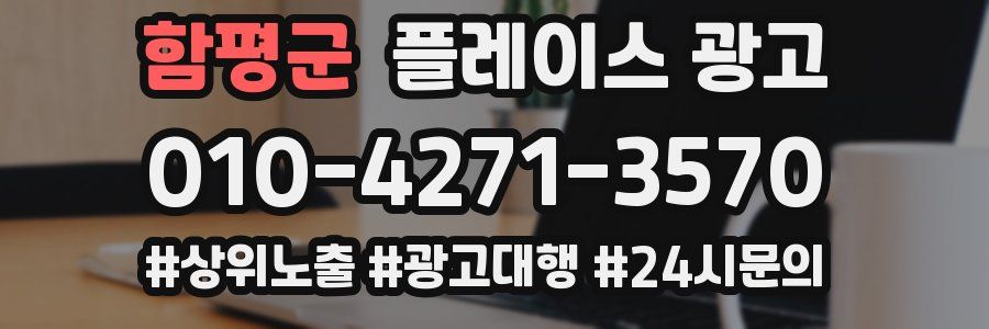 함평군 플레이스 광고