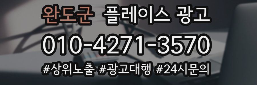 완도군 플레이스 광고