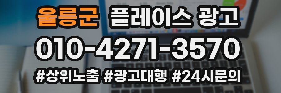 울릉군 플레이스 광고