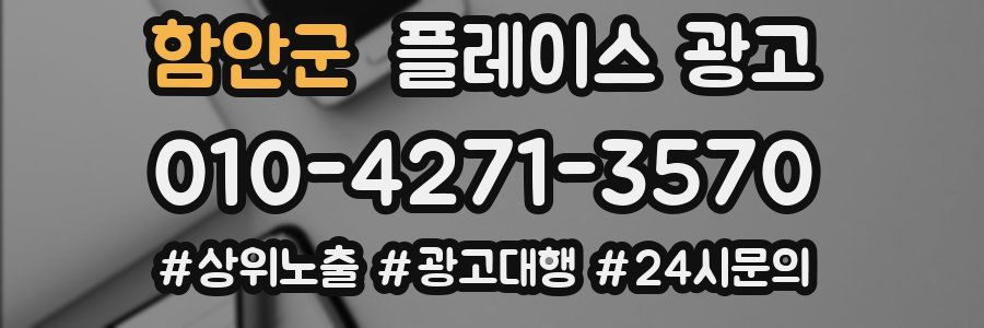 함안군 플레이스 광고