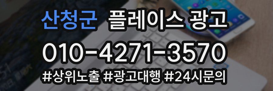 산청군 플레이스 광고