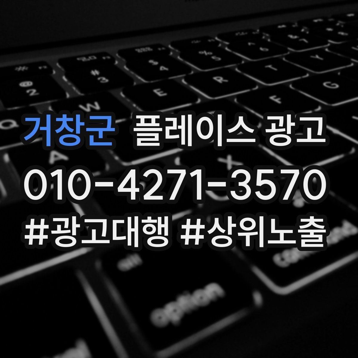 거창군 플레이스 광고 가격 검색에 대응하는 정보 배치