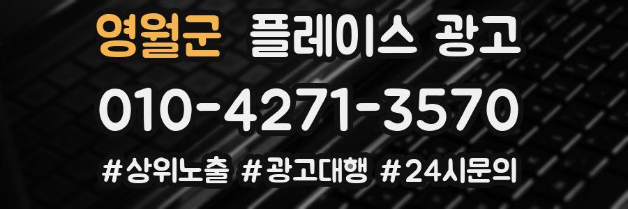 영월군 플레이스 광고
