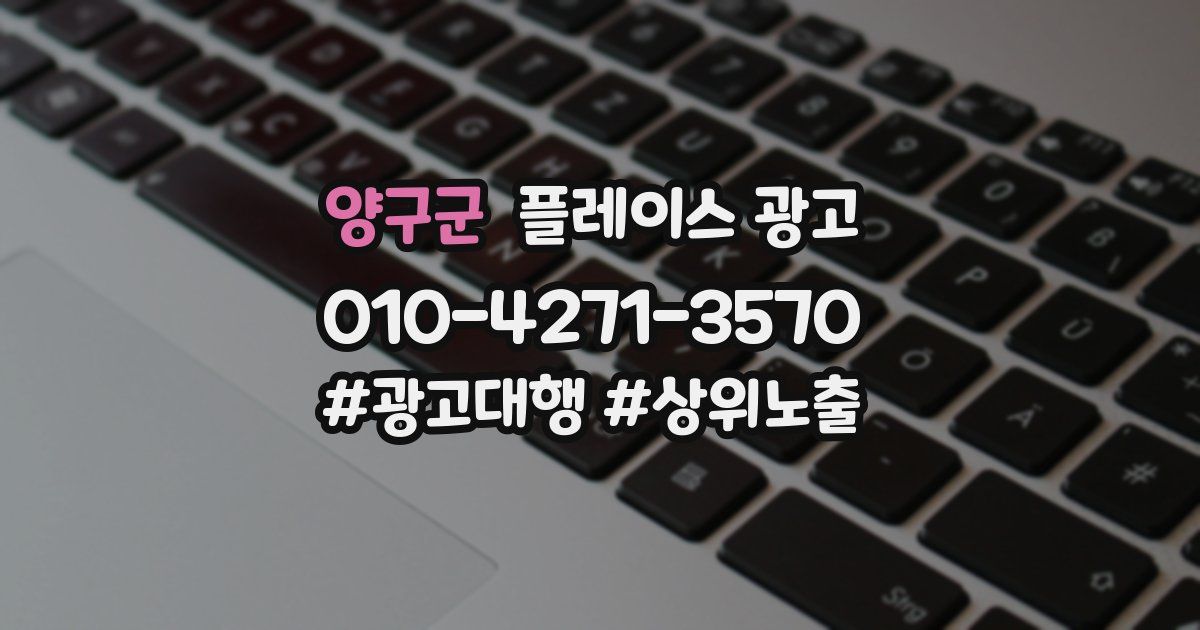 양구군 플레이스 광고