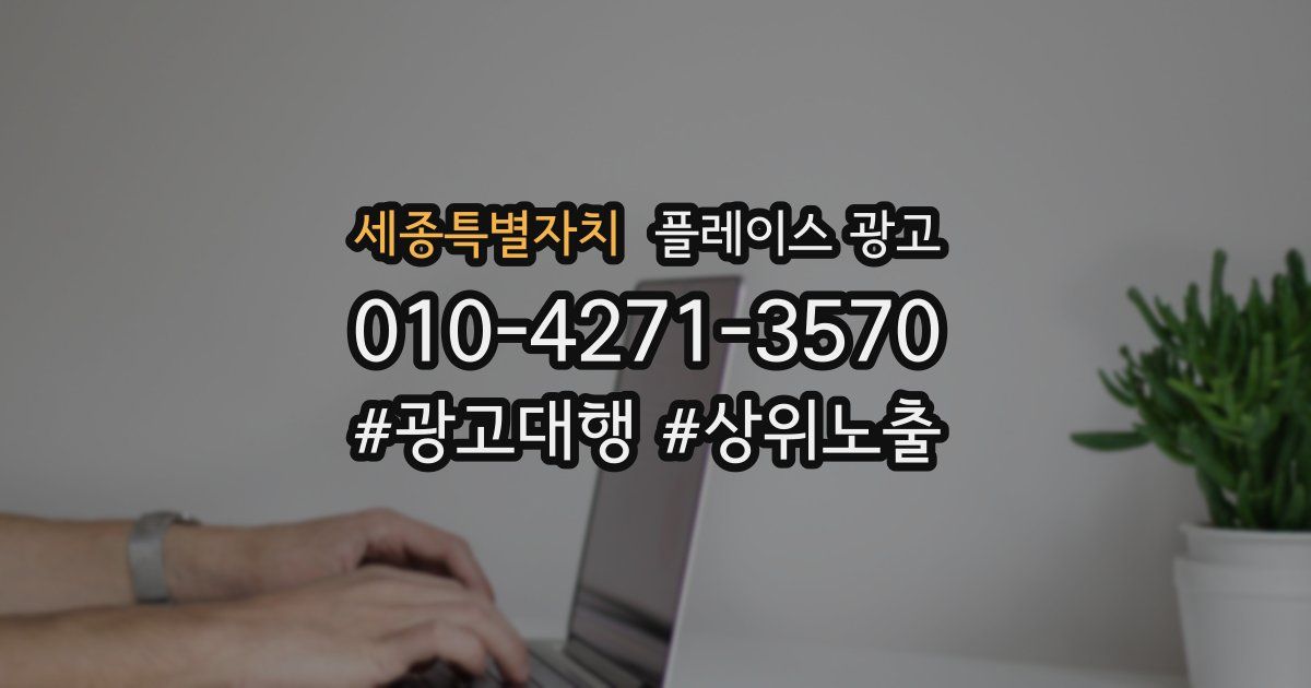 세종특별자치 플레이스 광고
