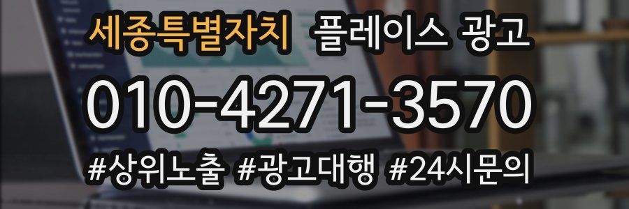 세종특별자치 플레이스 광고