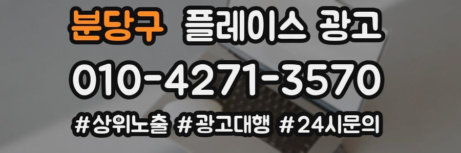 분당구 플레이스 광고