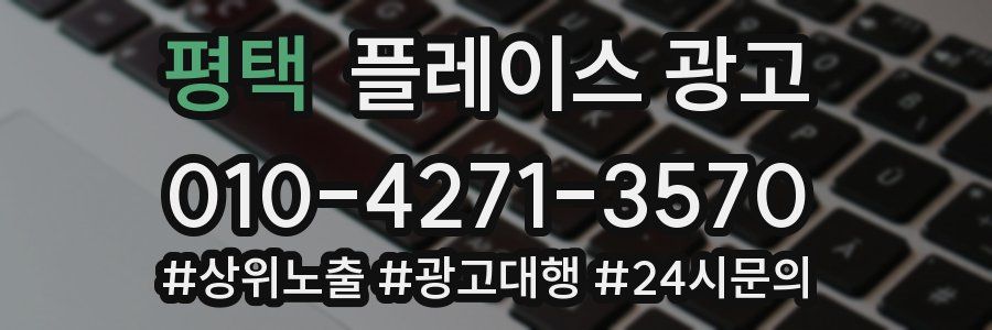 평택 플레이스 광고
