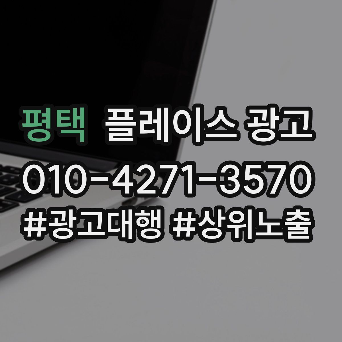 평택 플레이스 광고