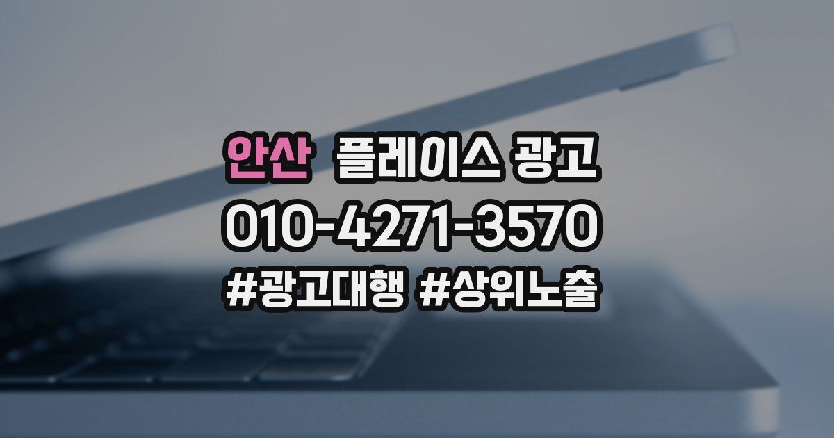 안산 플레이스 광고