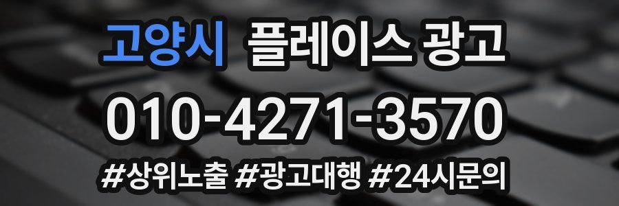 고양시 플레이스 광고