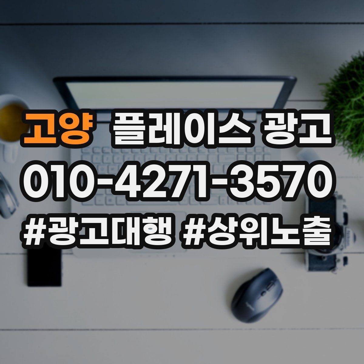 고양 플레이스 광고 전화는 오는데 방문이 없을 때 체크