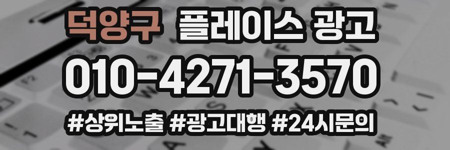 덕양구 플레이스 광고