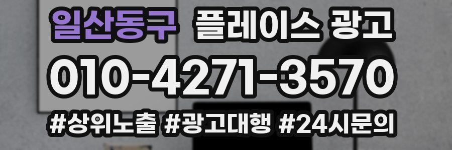 일산동구 플레이스 광고