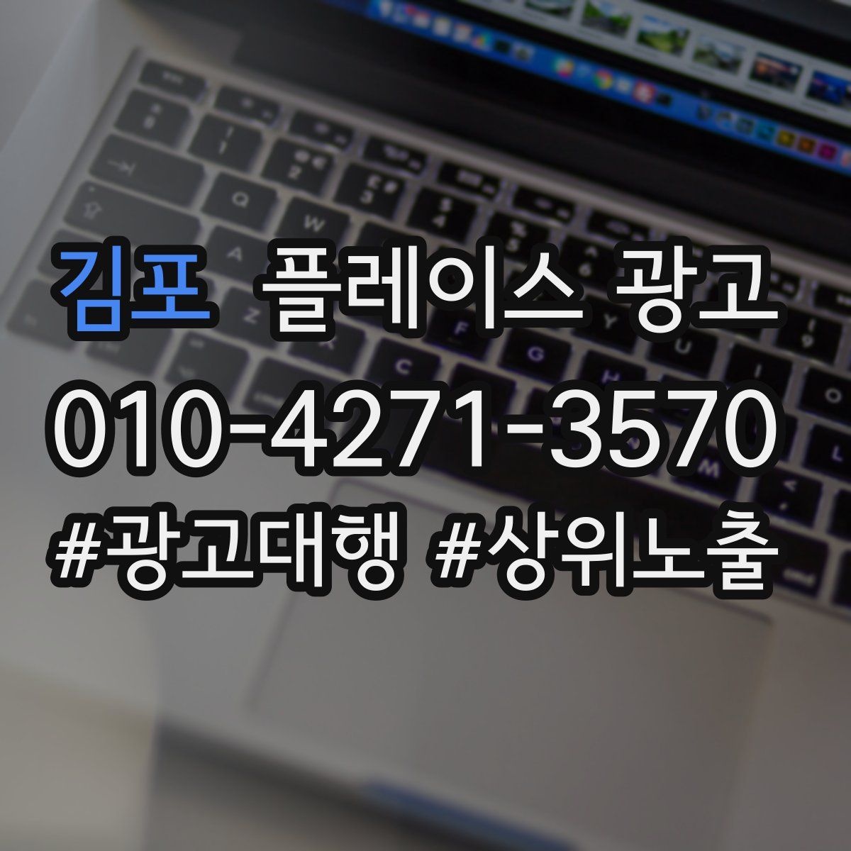 김포 플레이스 광고