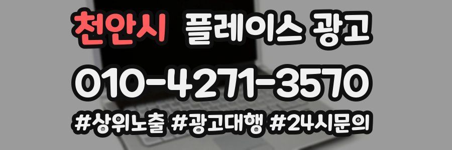 천안시 플레이스 광고