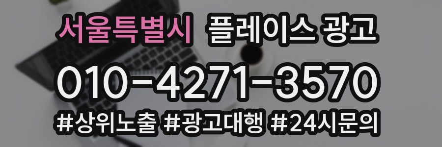 서울특별시 플레이스 광고