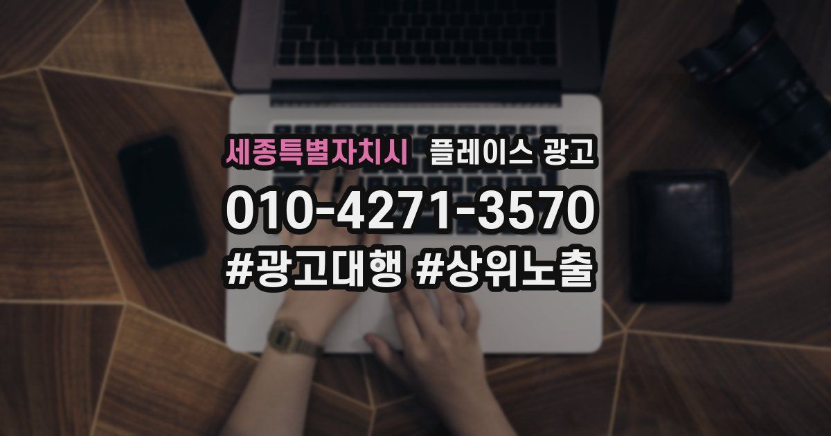 세종특별자치시 플레이스 광고