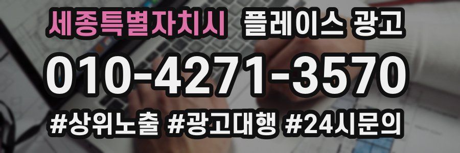 세종특별자치시 플레이스 광고