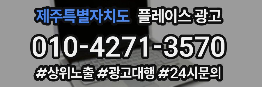 제주특별자치도 플레이스 광고