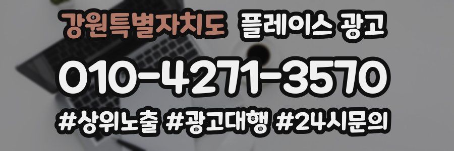 강원특별자치도 플레이스 광고