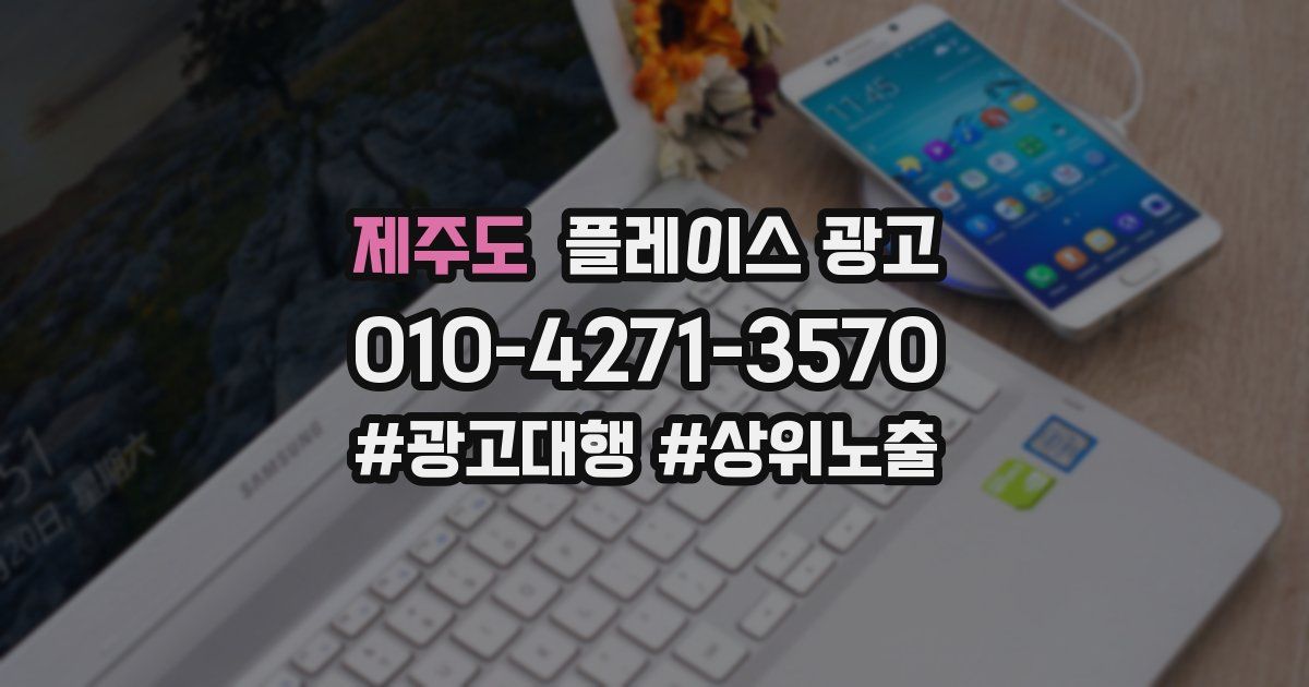 제주도 플레이스 광고