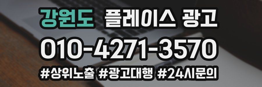 강원도 플레이스 광고