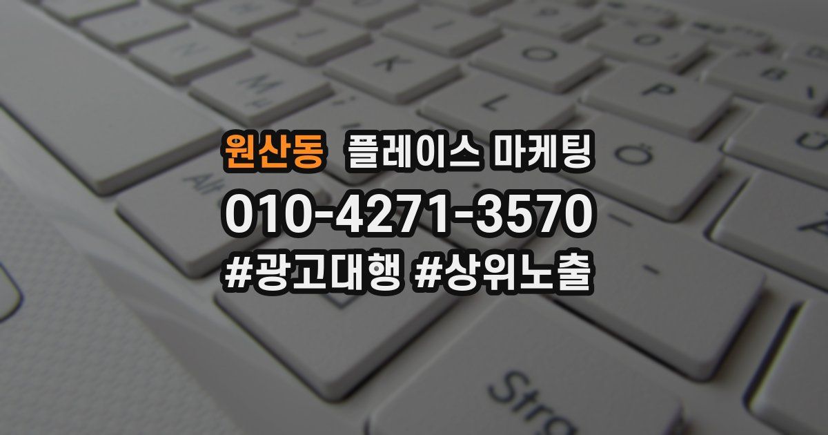 원산동 플레이스 마케팅