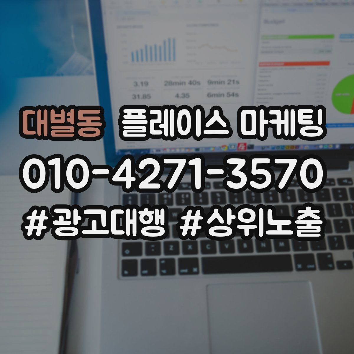 대별동 플레이스 마케팅