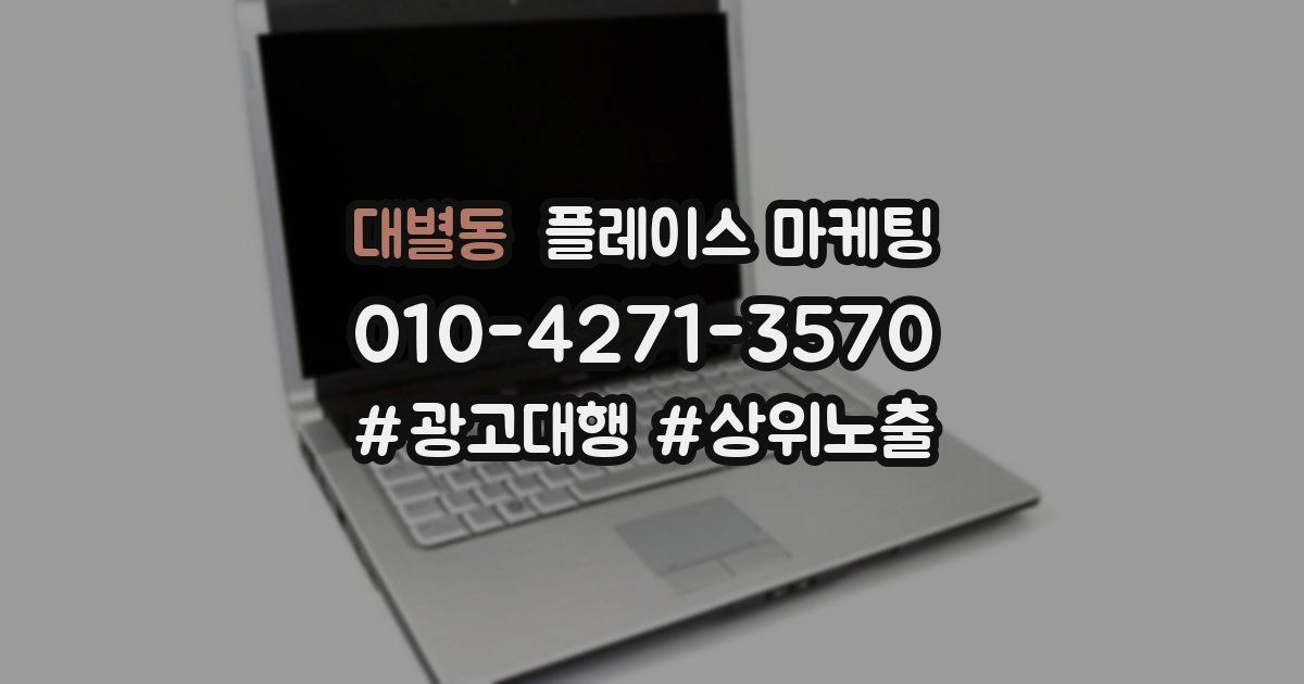 대별동 플레이스 마케팅