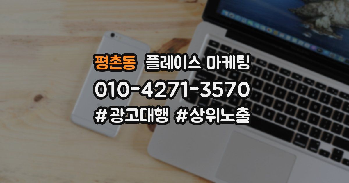 평촌동 플레이스 마케팅