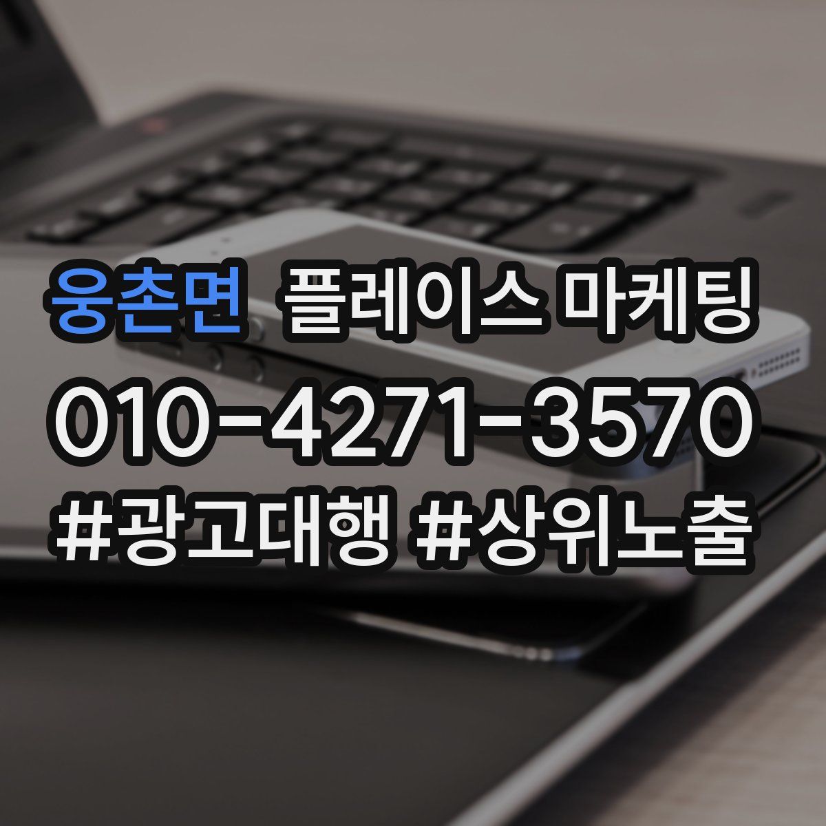 웅촌면 플레이스 마케팅