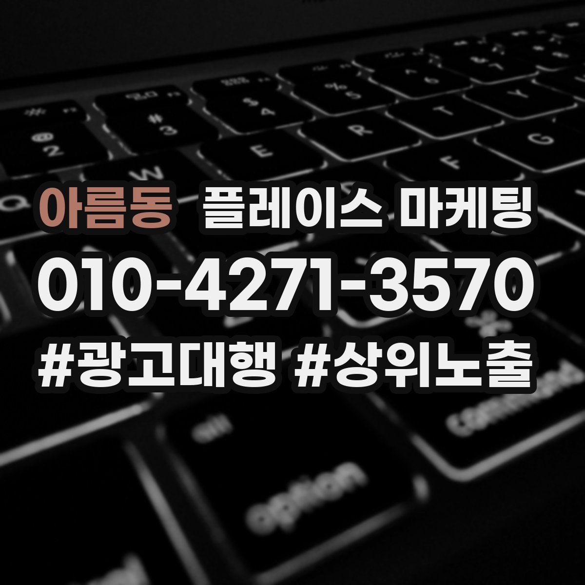 아름동 플레이스 마케팅