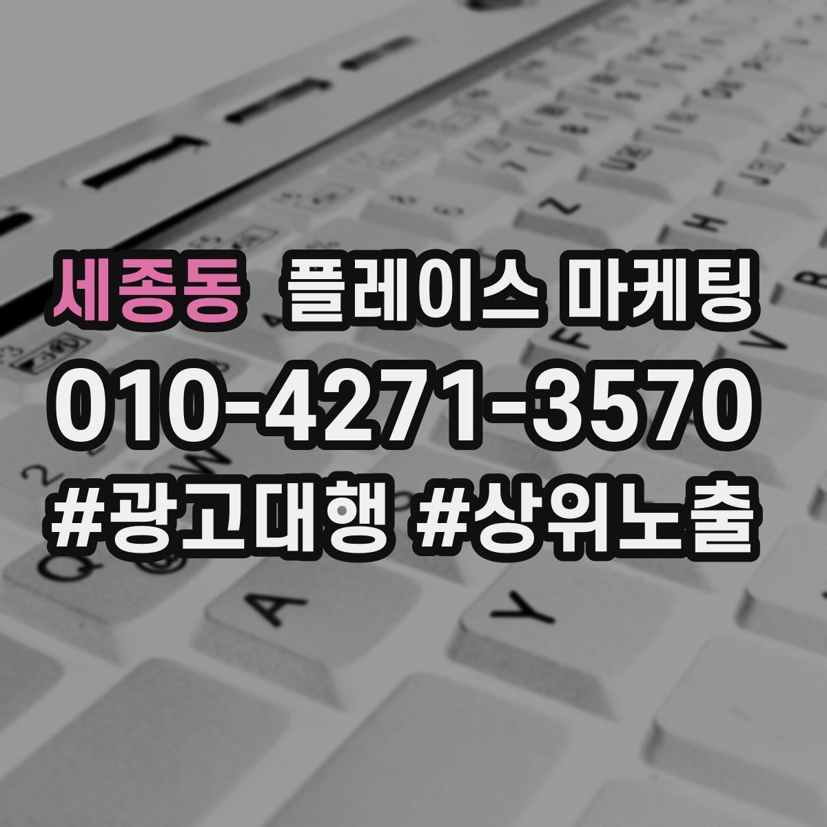 세종동 플레이스 마케팅