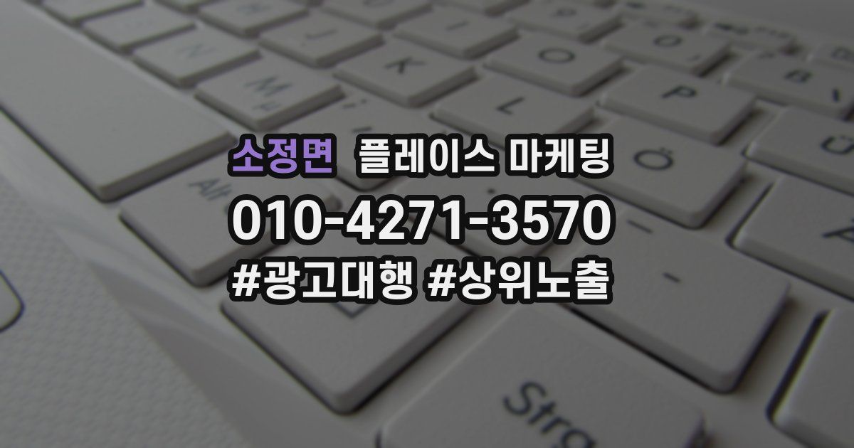 소정면 플레이스 마케팅