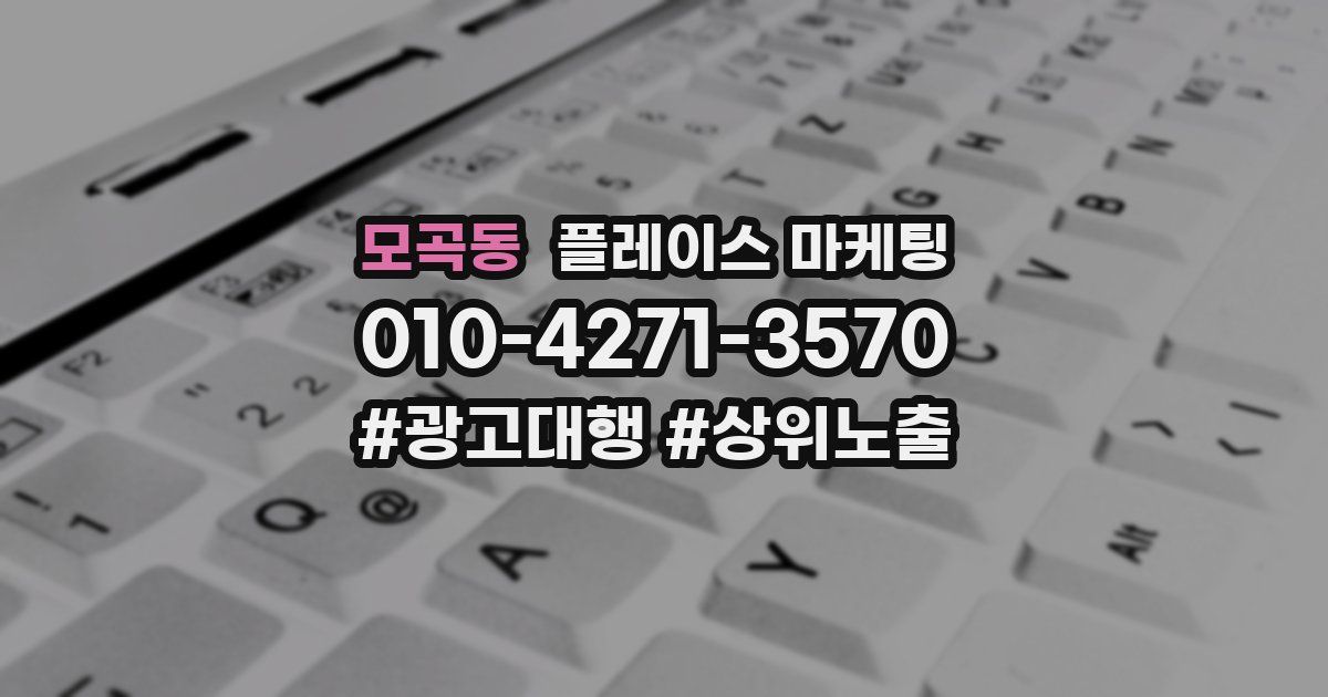 모곡동 플레이스 마케팅