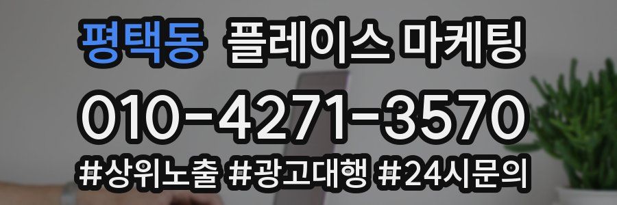평택동 플레이스 마케팅