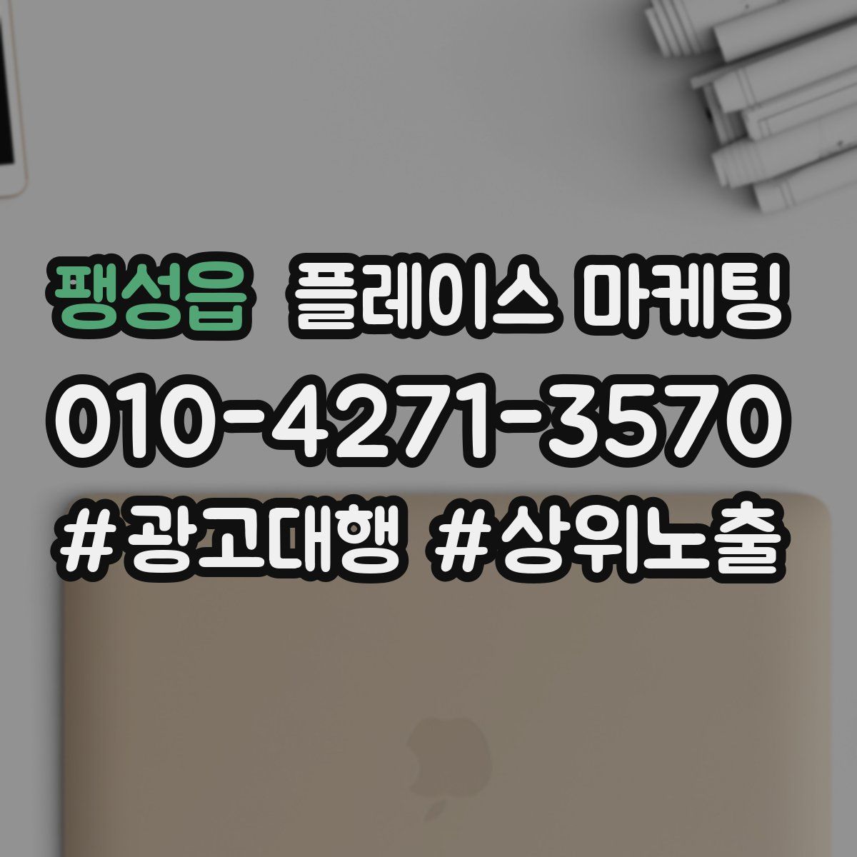 팽성읍 플레이스 마케팅