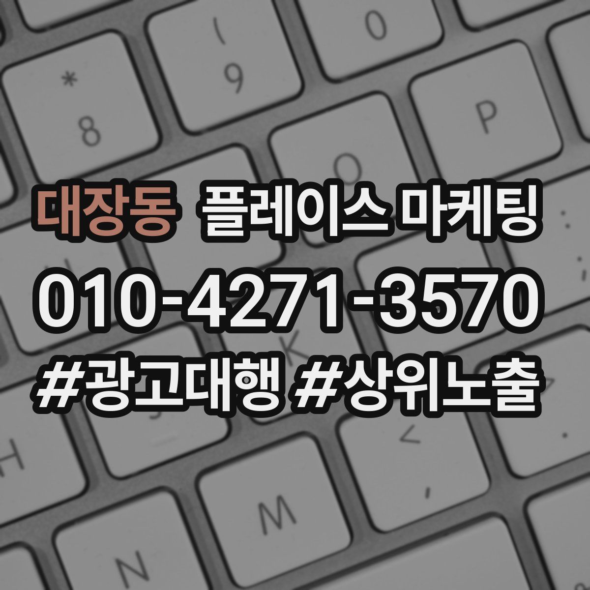 대장동 플레이스 마케팅