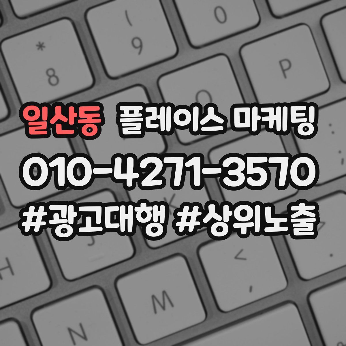 일산동 플레이스 마케팅