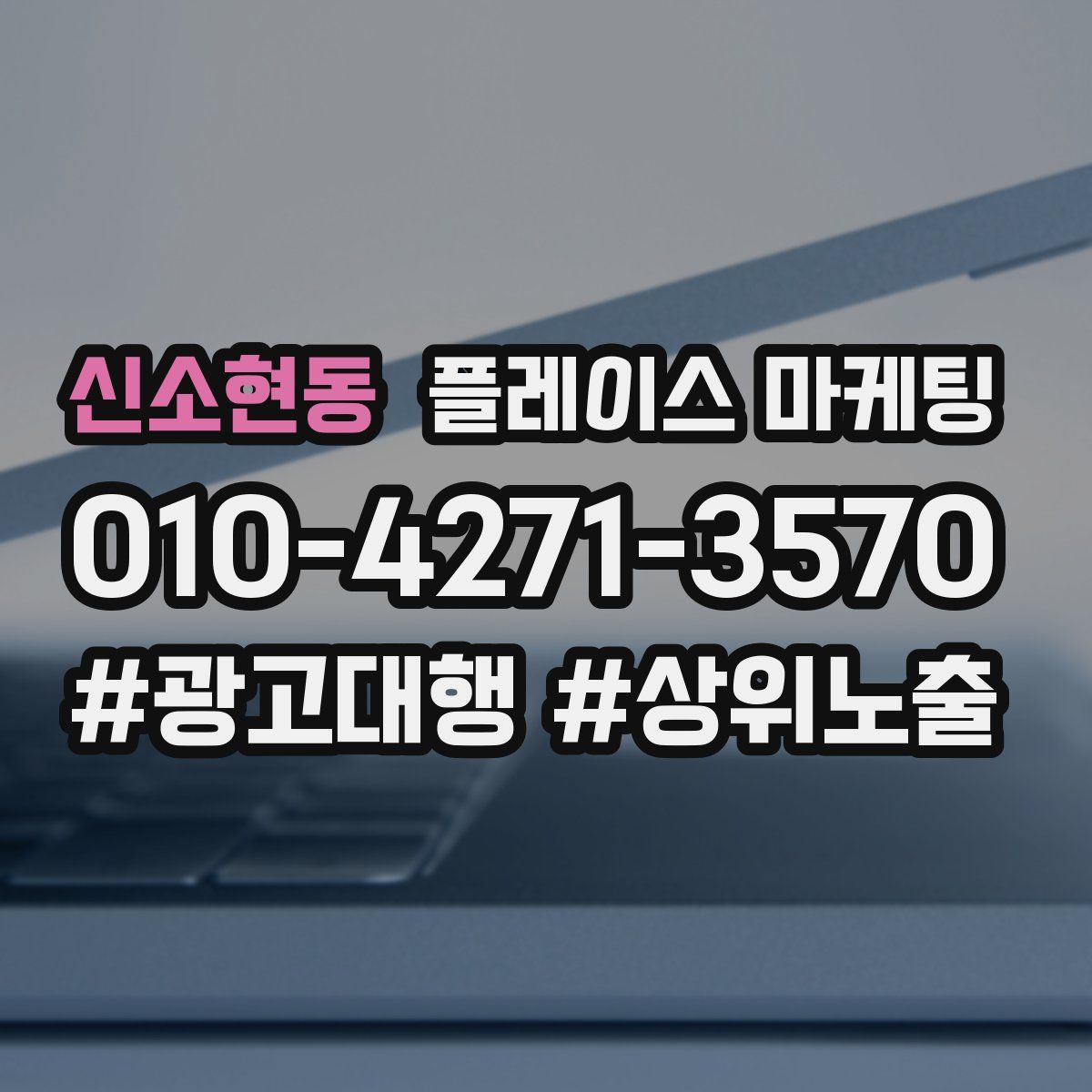 신소현동 플레이스 마케팅
