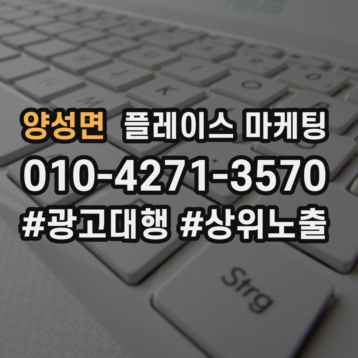 양성면 플레이스 마케팅